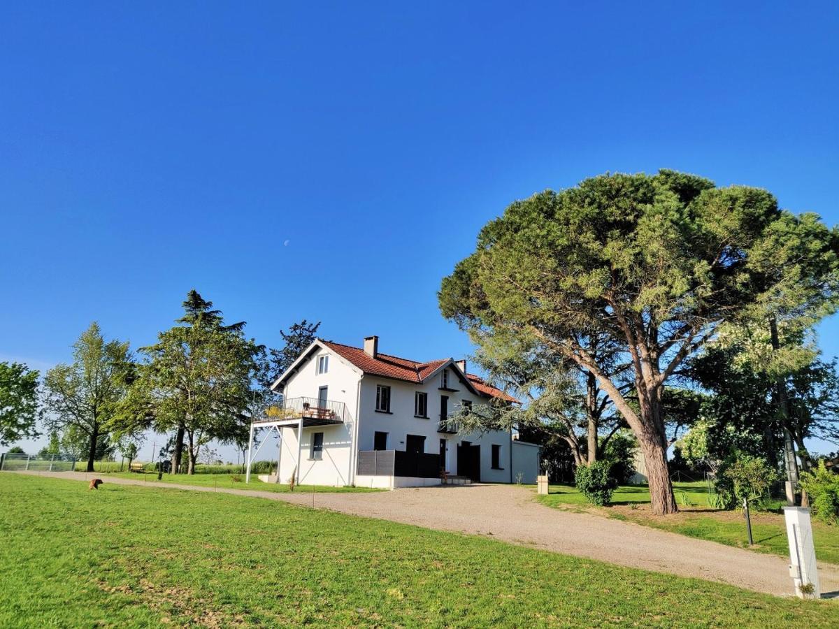 Le Cottage Duo Vigne Rouge&Primeur Gaillac entre Albi / Toulouse Brens  Extérieur photo